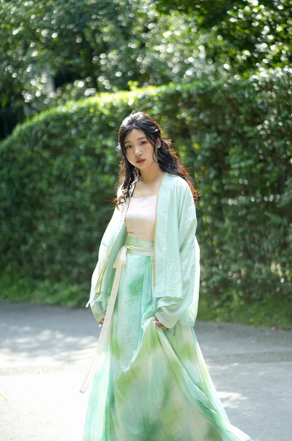 An Xiang 暗香 Distant Fragrance Modernized Song Dynasty Feijixiu & Baidiequn Set - Image 21