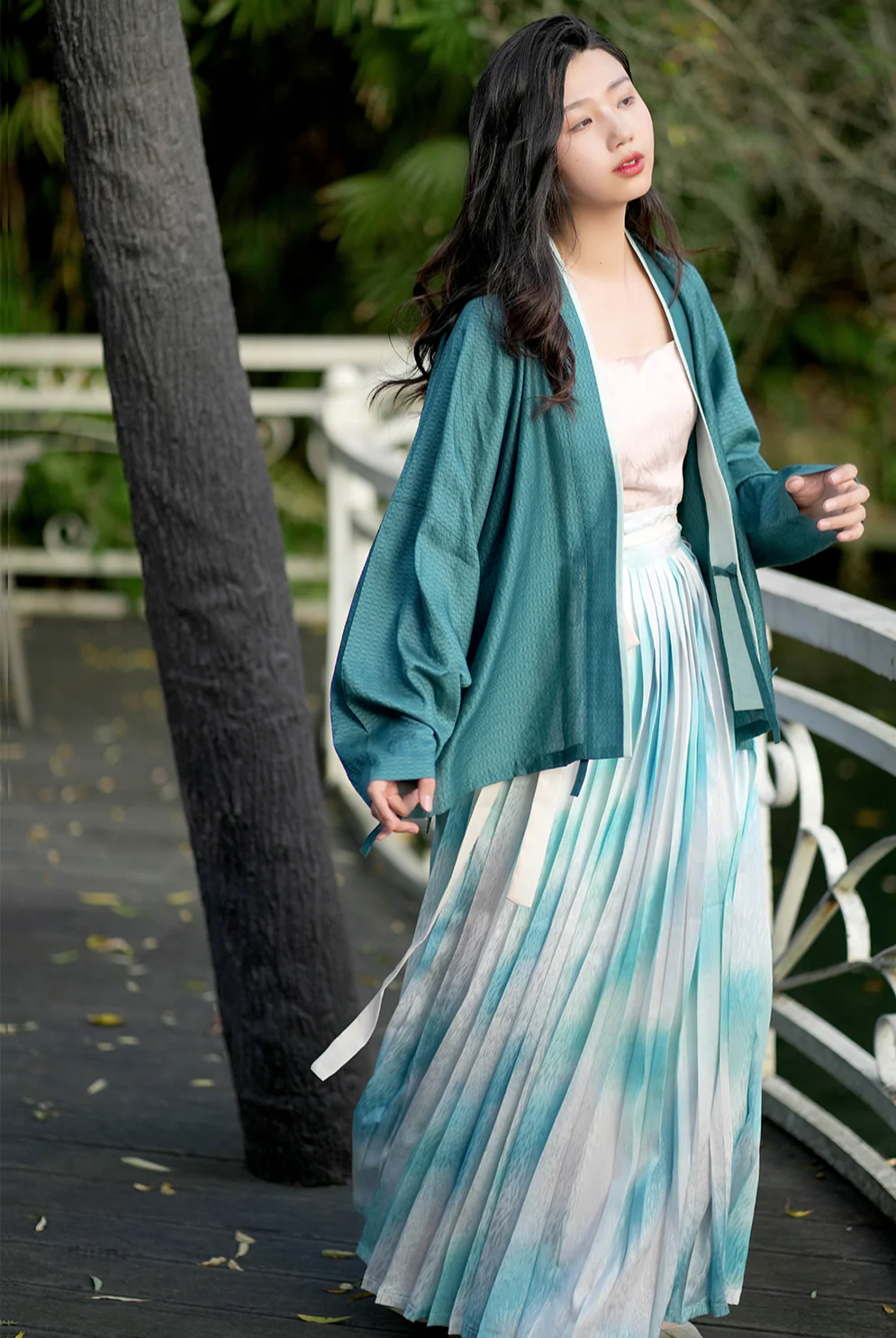 An Xiang 暗香 Distant Fragrance Modernized Song Dynasty Feijixiu & Baidiequn Set - Image 6