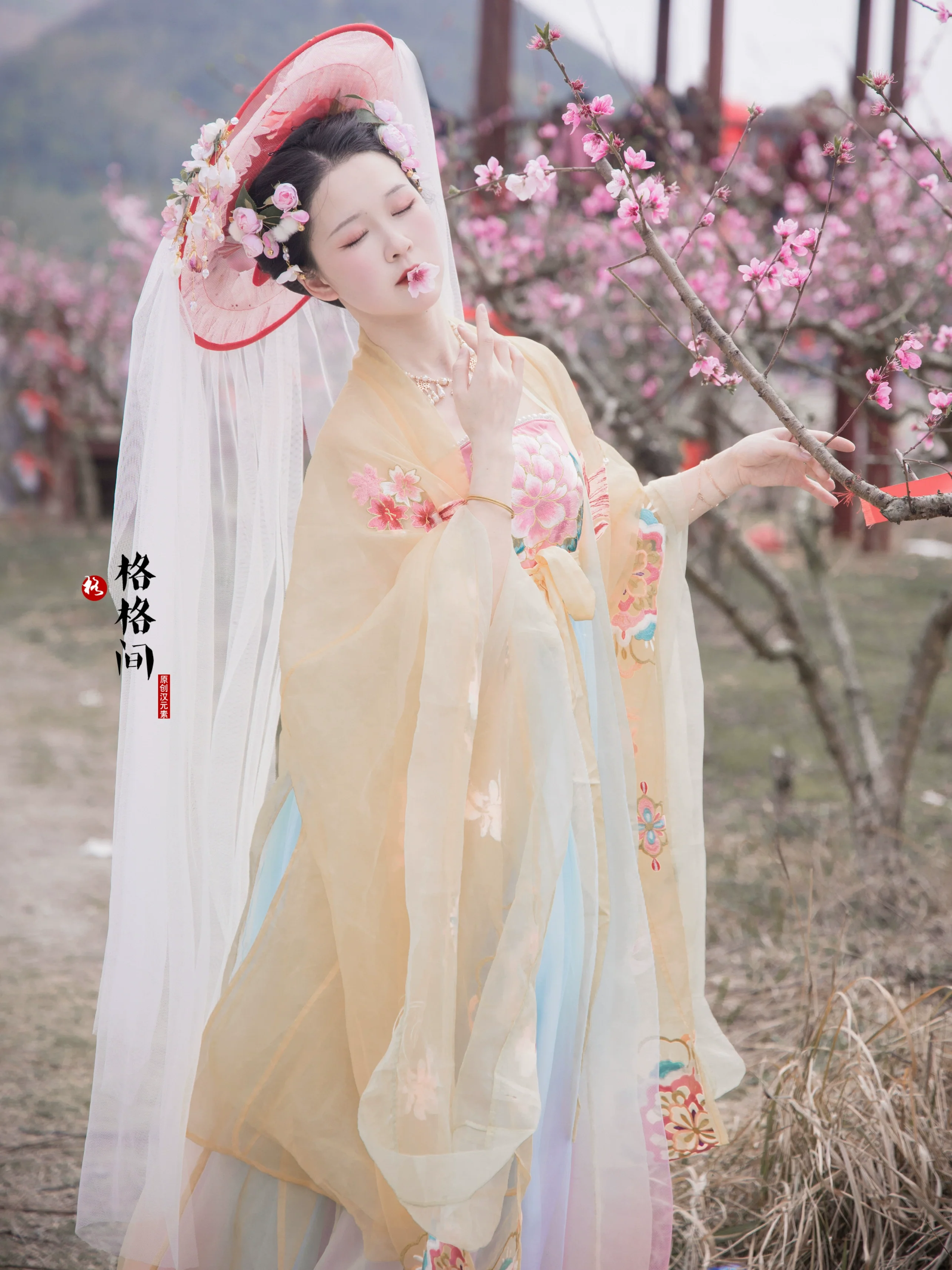 Chuan Zhu 串珠 Pearl Beads Tang Dynasty Modernized Weimao Veiled Hat - Image 5