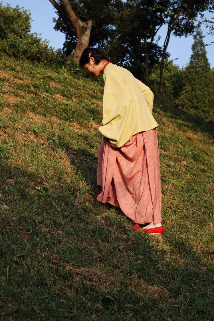 Egg Yolk 熟蛋 Ming Dynasty Contrast Collar Pipa Sleeves Liling Duijin Shirt - Image 14