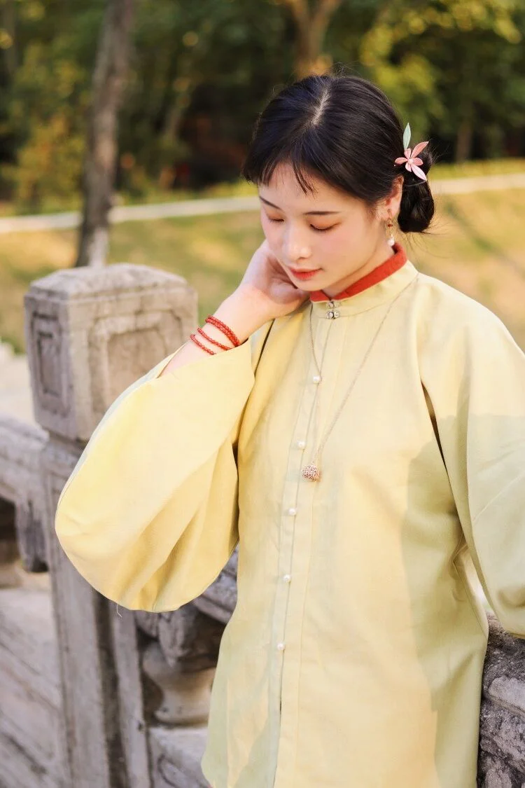 Egg Yolk 熟蛋 Ming Dynasty Contrast Collar Pipa Sleeves Liling Duijin Shirt - Image 2