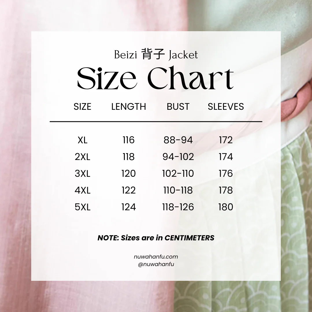 Han Dan 菡萏 Blooming Lotus Song Dynasty Plus Size Embroidered Baidiequn Ruqun Set - Image 8
