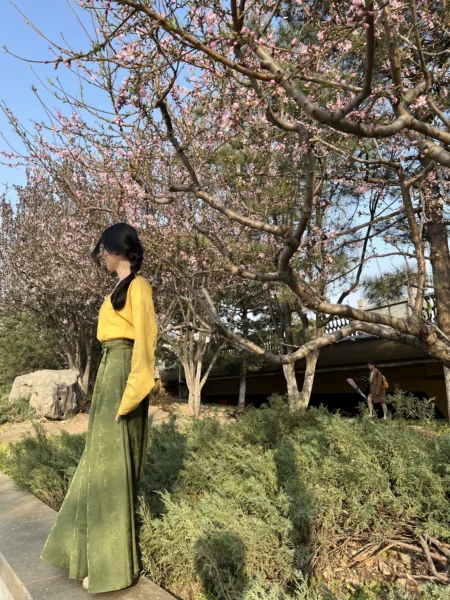 Holding the Moon 上揽月 Olive Green Weijin Tang 10 Panel Poqun Skirt - Image 5