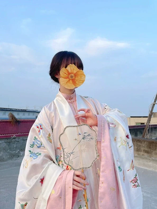 Bai Die 百蝶 Hundred Butterflies Late Ming Dynasty Embroidered Pifeng Jacket - Image 11