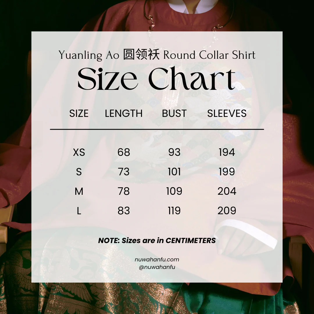 Kongfu Jiucang 孔府旧藏 Confucius' Collection Ming Dynasty Crane Mandarin Square Buzi Yuanling Ao Top - Image 9