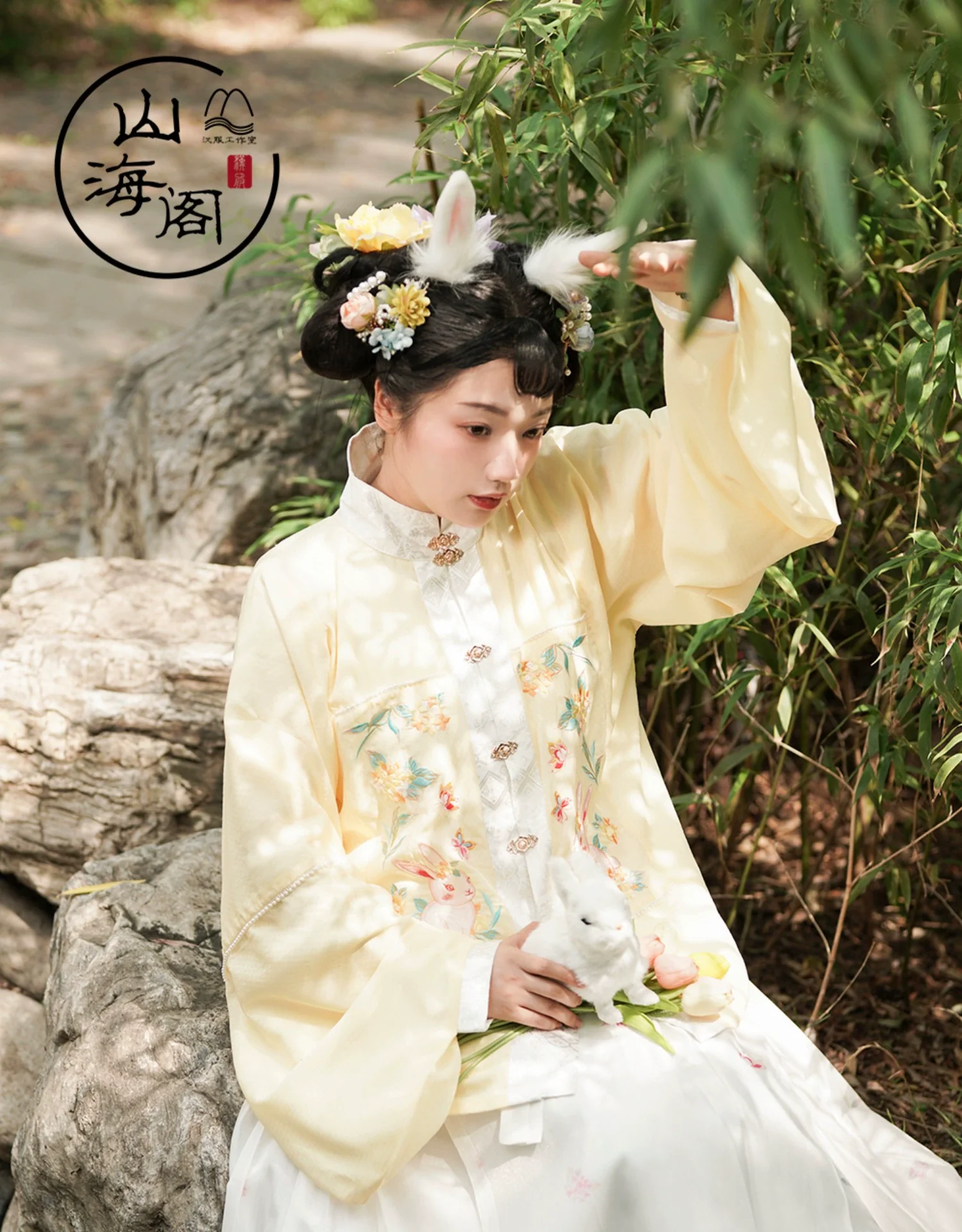 Lei Si 蕾丝 Lacy Bunny Ming Dynasty Plus Size Liling Pipa Sleeve Mamian Aoqun Set - Image 5