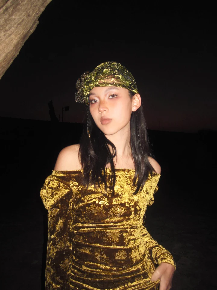 Liu Guang 鎏光 Flowing Light New Chinese Style Velvet Long Sleeve Dress - Image 9