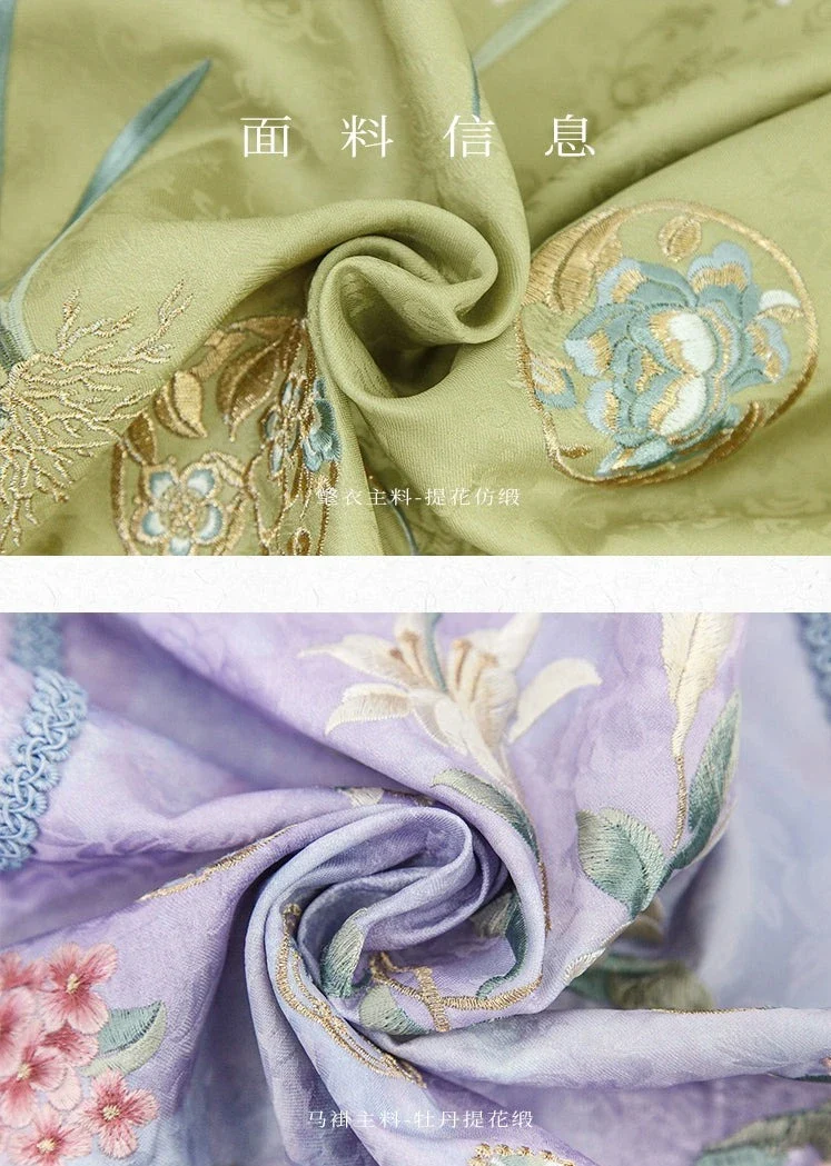 Meng Meng 萌萌 Qing Dynasty Embroidered Changyi Dress - Image 14