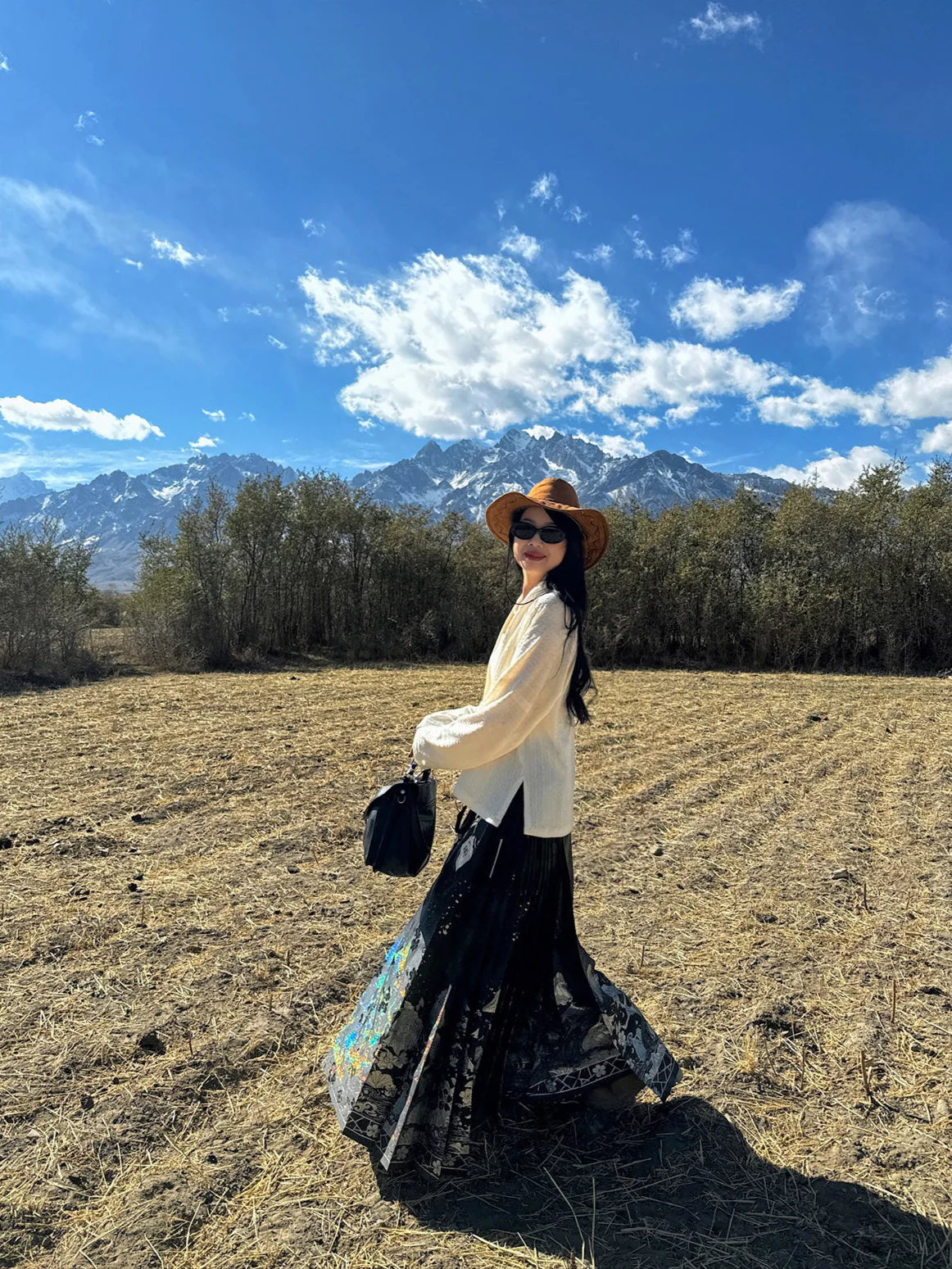 Shanhe Jinxiu 山河锦绣 Splendid Mountains Ming Dynasty Plus Size Mother of Pearl Mamian Skirt - Image 13