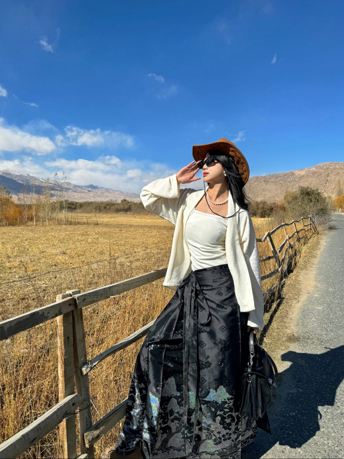 Shanhe Jinxiu 山河锦绣 Splendid Mountains Ming Dynasty Plus Size Mother of Pearl Mamian Skirt - Image 14