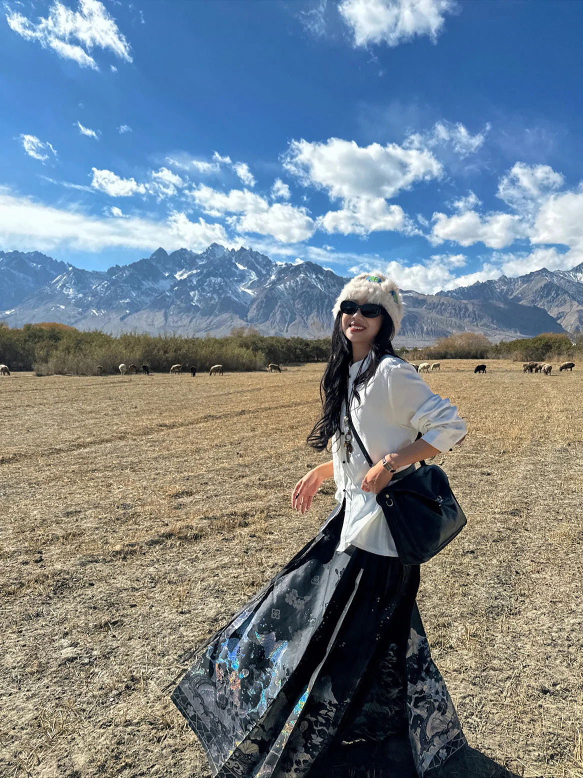 Shanhe Jinxiu 山河锦绣 Splendid Mountains Ming Dynasty Plus Size Mother of Pearl Mamian Skirt - Image 3