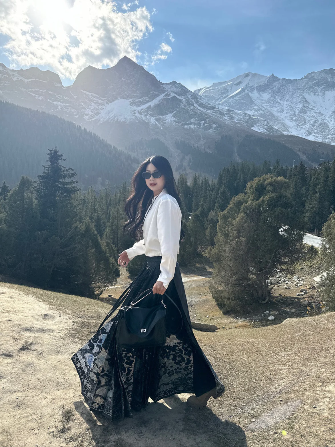 Shanhe Jinxiu 山河锦绣 Splendid Mountains Ming Dynasty Plus Size Mother of Pearl Mamian Skirt - Image 6