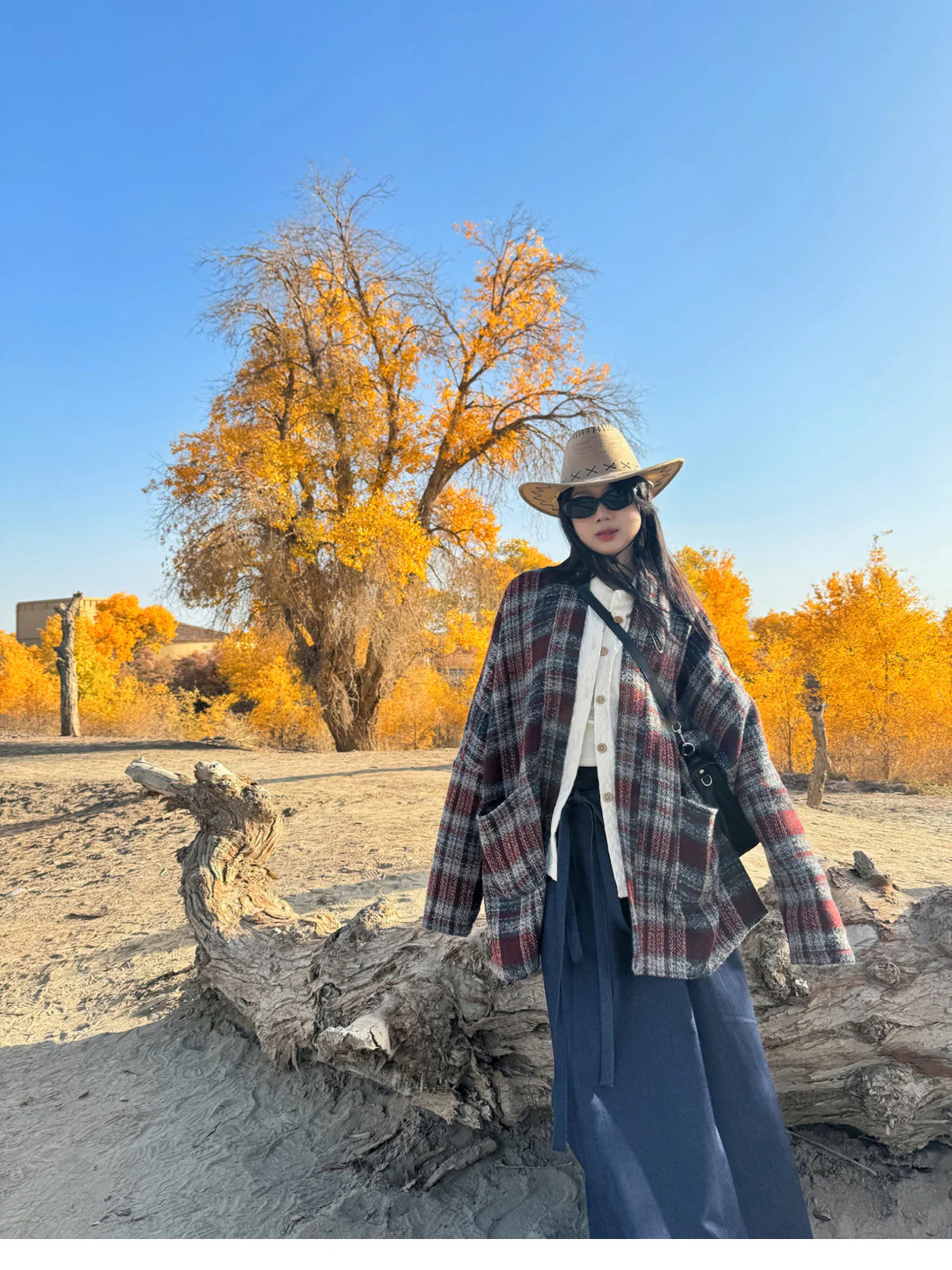 Shiguang Feishi 时光飞逝 Time Flies Modernized Tang Song Plus Size Wool Feijixiu Top & Denim Poqun Skirt Set - Image 9