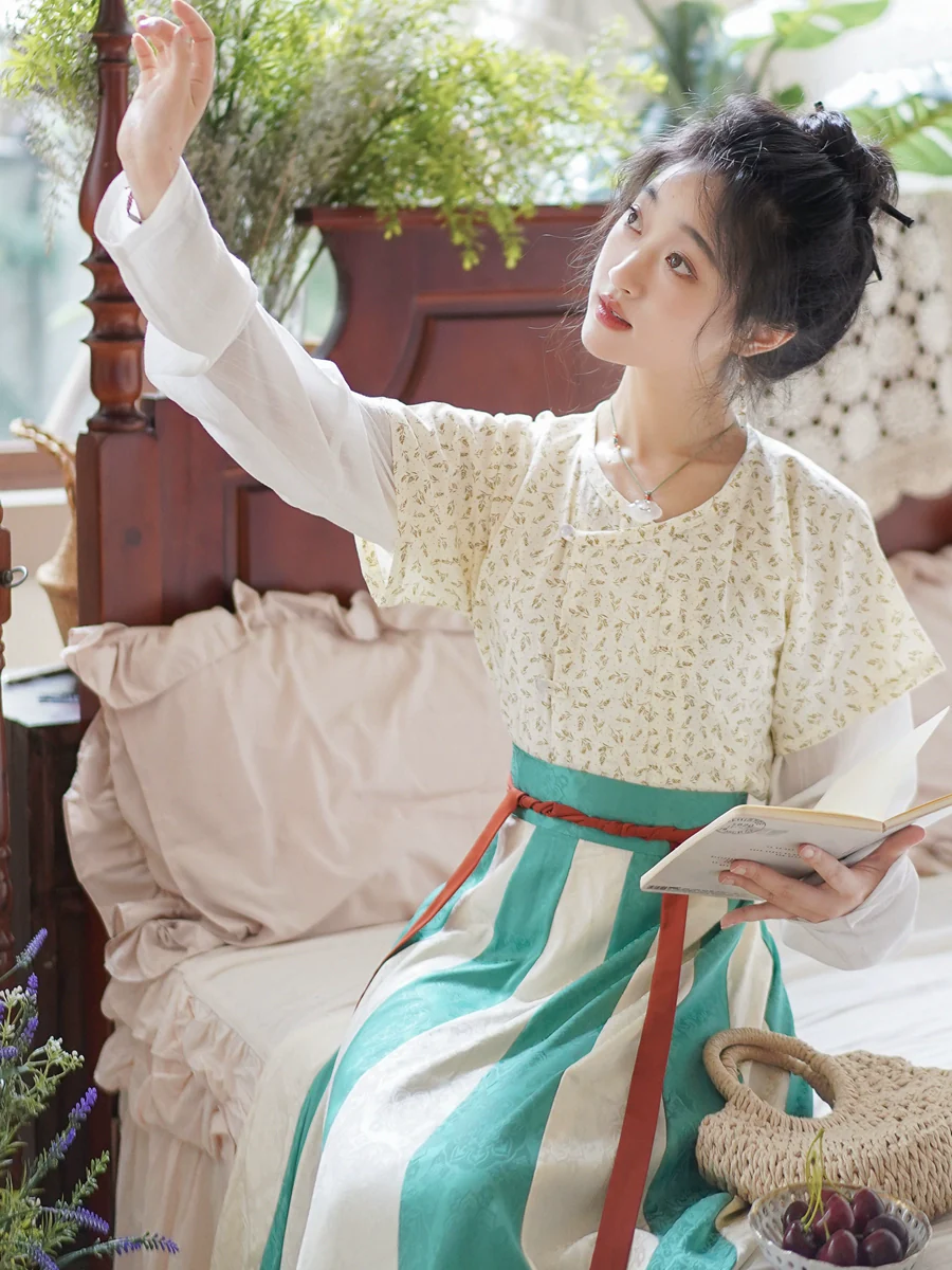 Taozi Guodong 桃子果冻 Peach Jelly Modernized Tang Dynasty Beizi Banbi Top & Poqun Skirt Set - Image 5