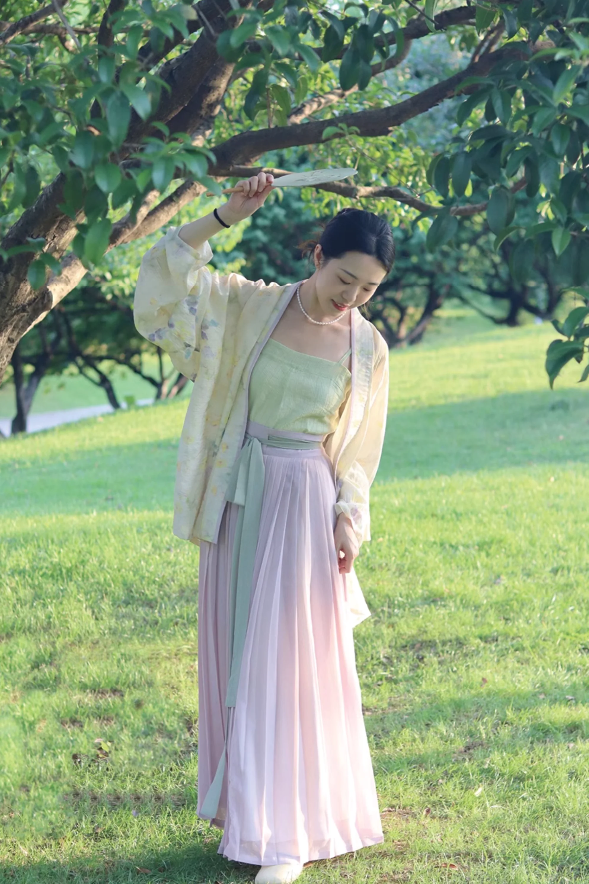 Yan Guangning 烟光凝 Smoke & Light Song Dynasty Feijixiu & Baidiequn Ruqun Set - Image 6
