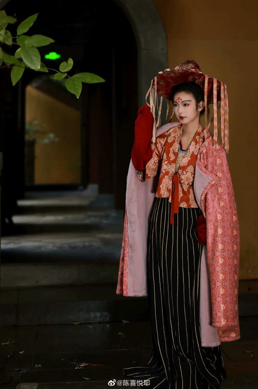 Zhijin Weimao 织锦帷帽 Wu Zhou Brocade Veiled Hat - Image 4