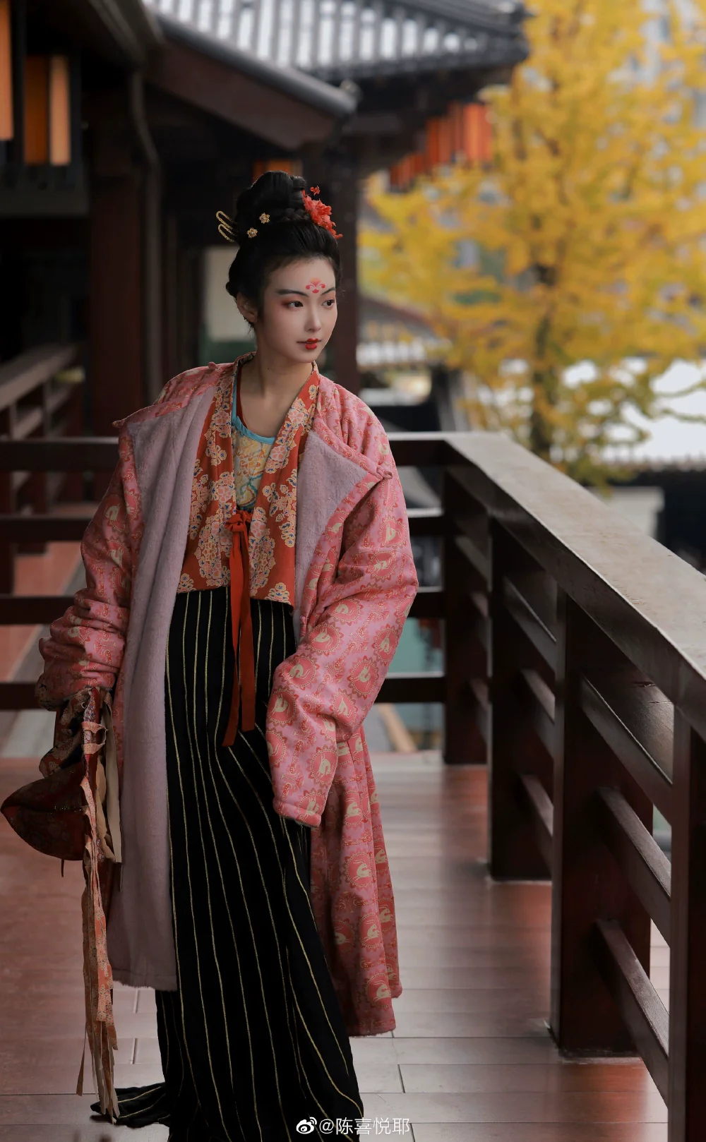Zhijin Weimao 织锦帷帽 Wu Zhou Brocade Veiled Hat - Image 5