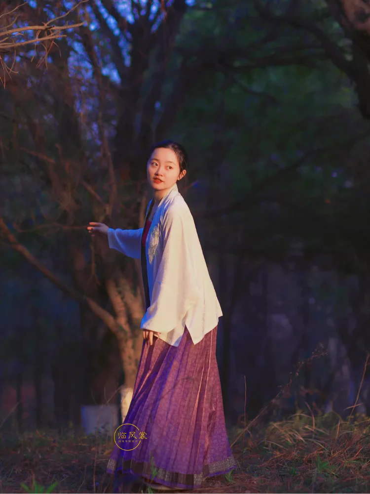 Zuoye 昨夜 In a Fortnight Ming Dynasty Sheer Summer Mamian Skirt - Image 7